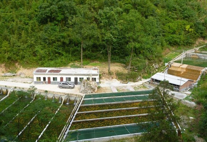 挥向造假企业、地方环保部门和地方政府