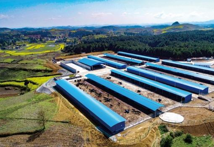 空气湿度和风向条件、采样仪的流量数据